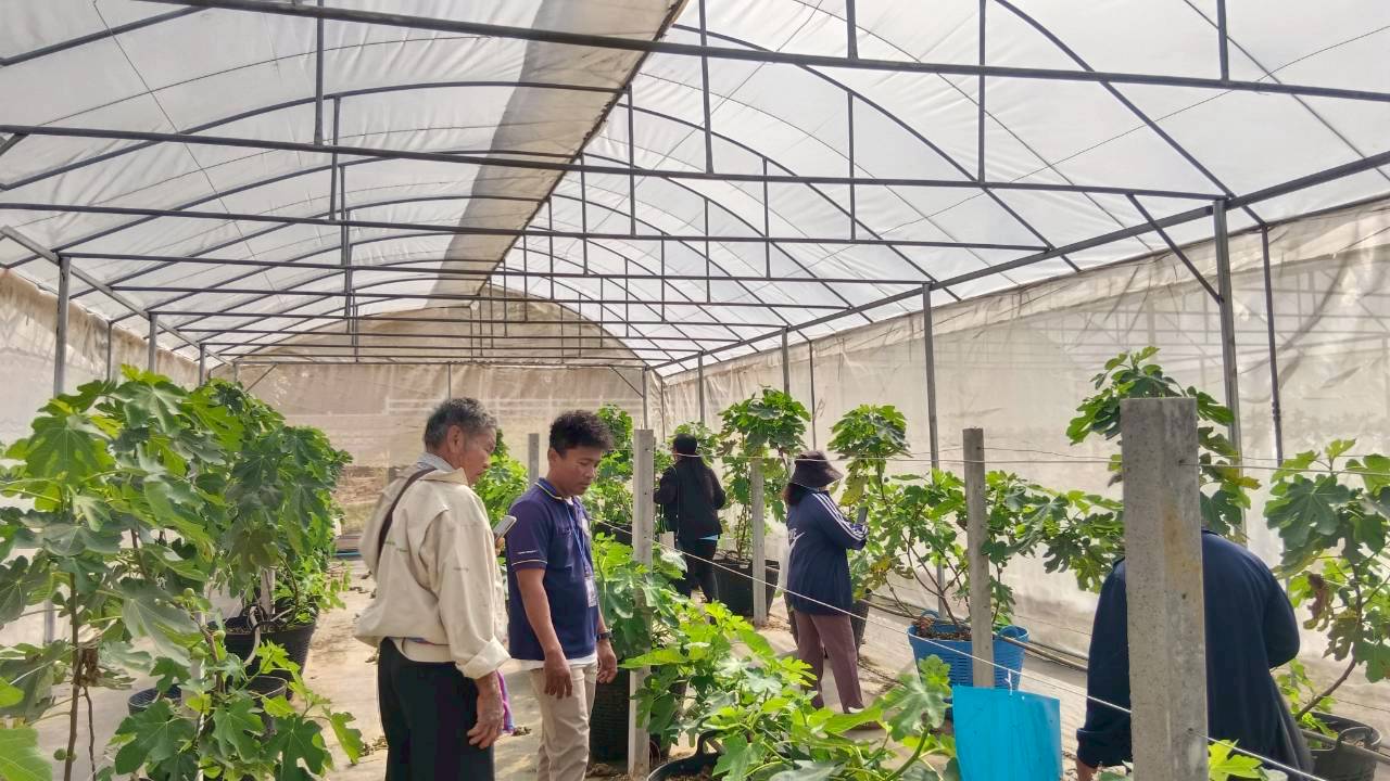 title - ส.ป.ก.บุรีรัมย์ ดำเนินการฝึกอบรมเชิงปฏิบัติการโครงการพัฒนาเกษตรกรปราดเปรื่องในเขตปฏิรูปที่ดิน (Smart Farmer) ปีงบประมาณ พ.ศ. 2569 ระหว่างวันที่ 25 - 27 ธันวาคม 2568